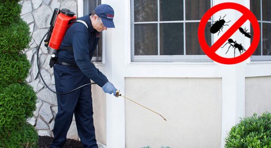 Bekilli Böcek ve Haşere İlaçlama böcek ilaçlama ve haşere kontrolü — ilaclama-tr.com
